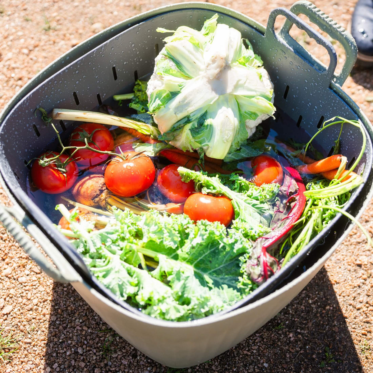 Product photo of 8-gallon garden tub, strainer and lid kit