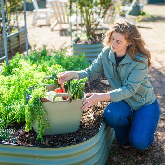 Product photo of 8-gallon garden utility tub