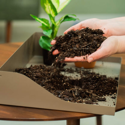 Product photo of grow light and potting tray conversion kit