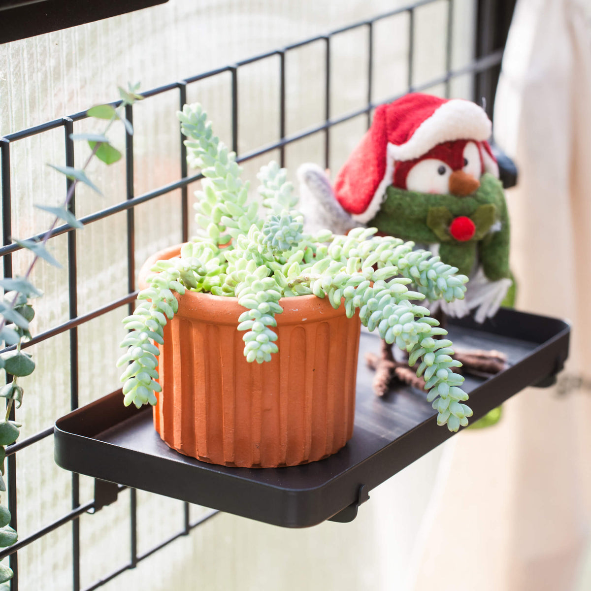 Product photo of modular greenhouse hanging grid