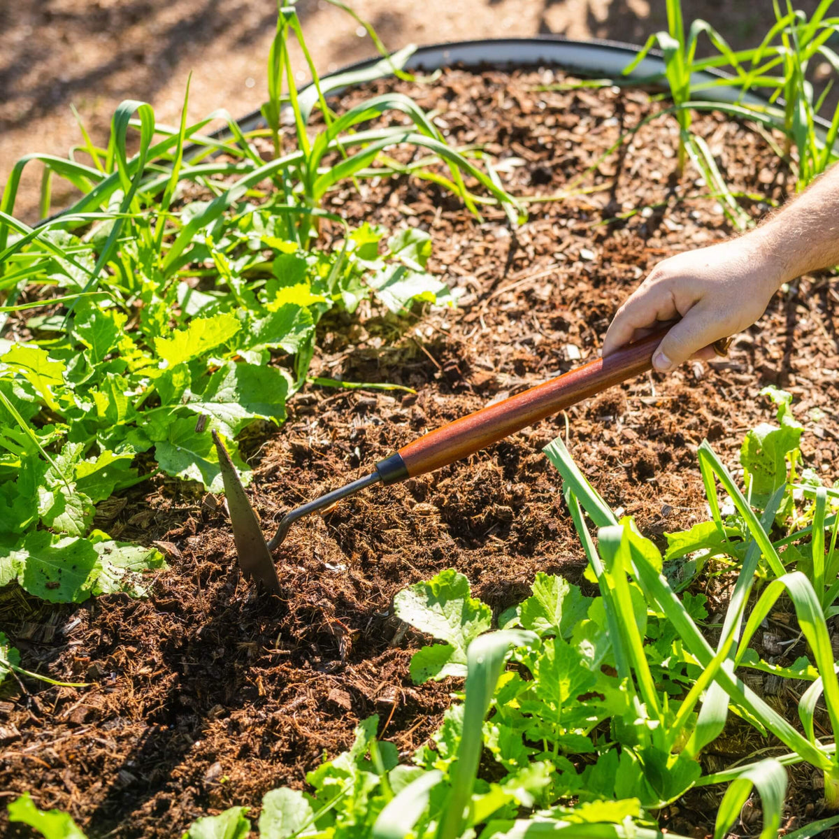 Product photo of long-handle garden bed hoe
