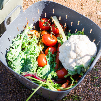 Product photo of 8-gallon garden strainer basket