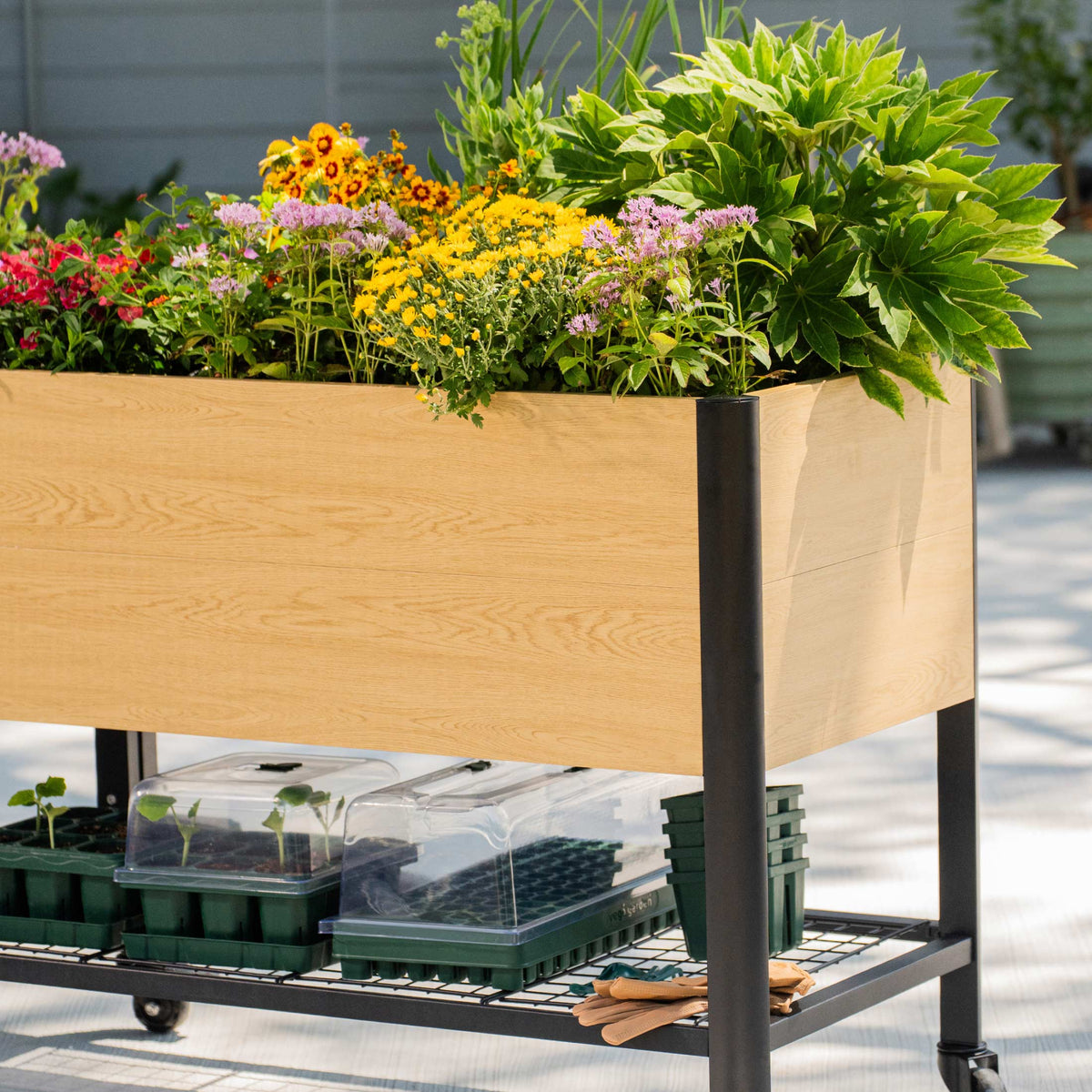 Product photo of woodgrain elevated bed, 24 x 96 inches