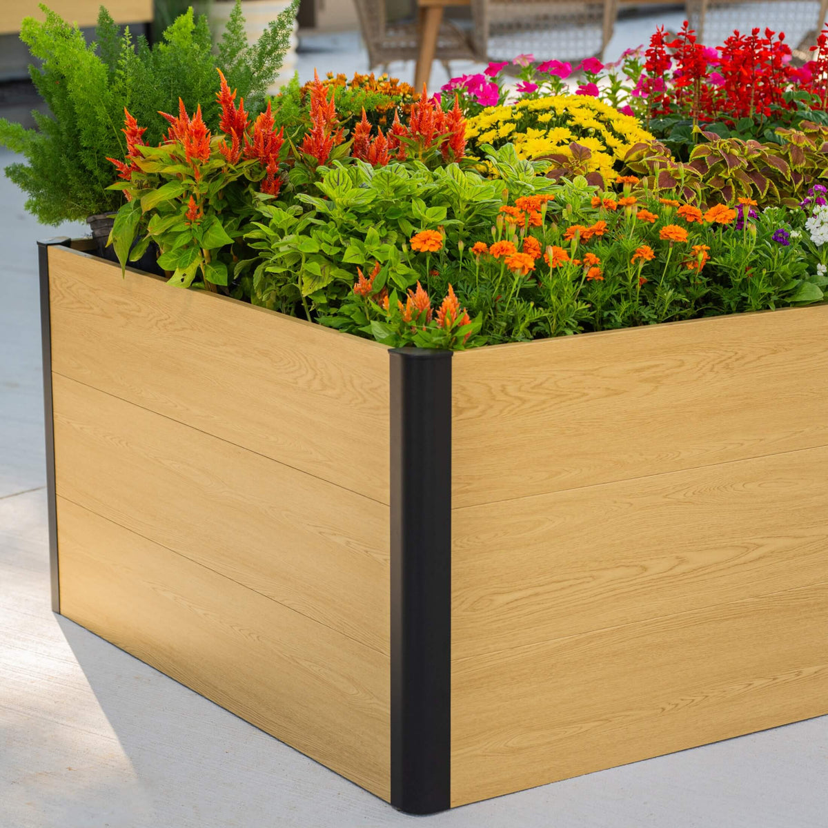 Product photo of woodgrain raised bed, 48 x 96 x 26 inches