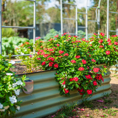 17-Inch-Tall Modular Metal Raised Bed