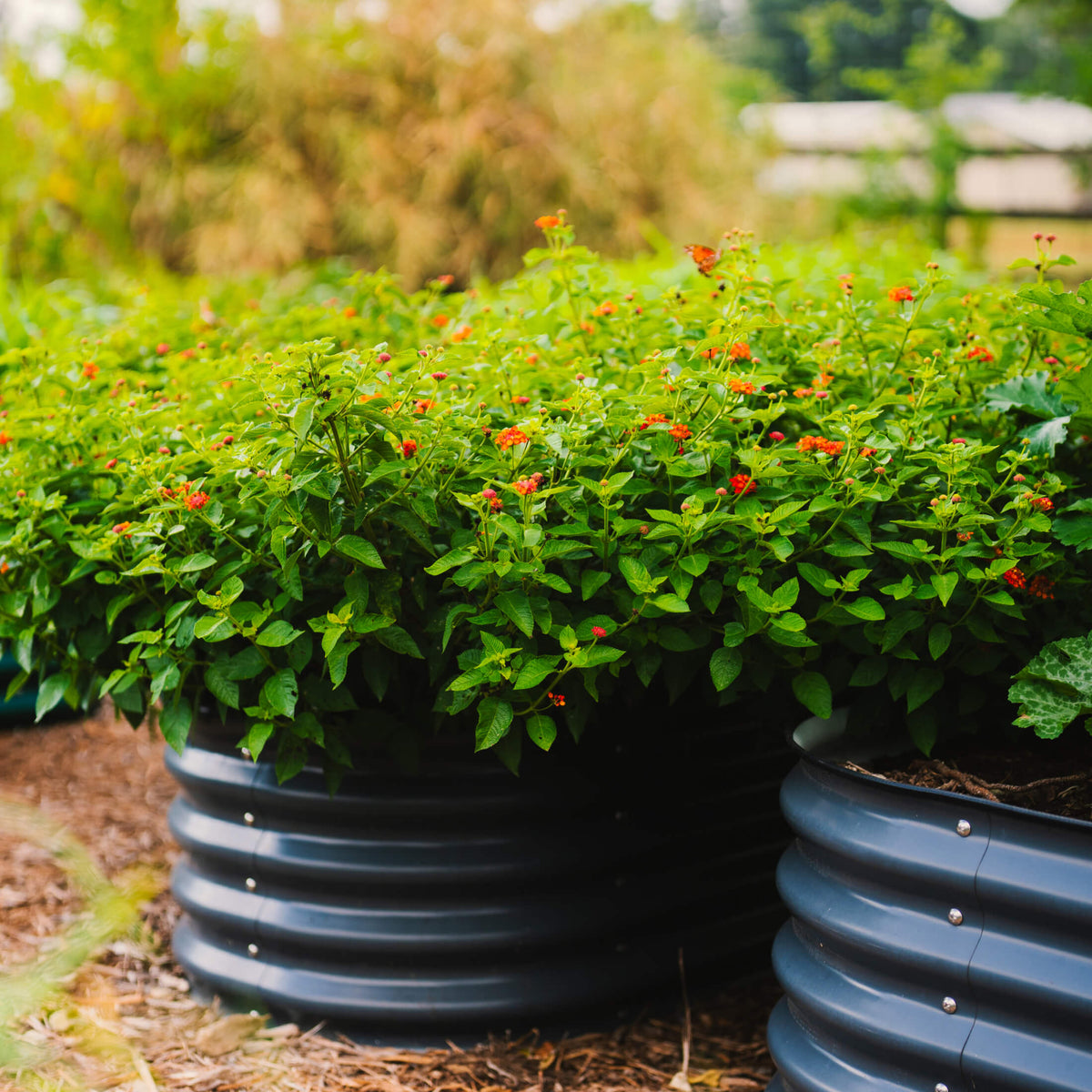 17-Inch-Tall Modular Metal Raised Bed