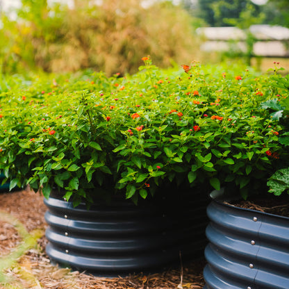 17-Inch-Tall Modular Metal Raised Bed