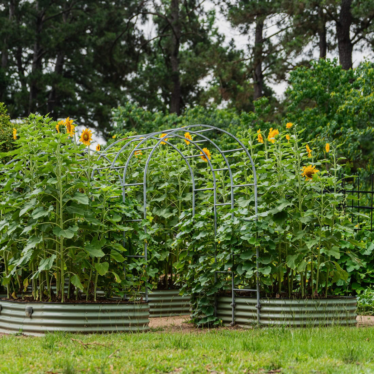 17-Inch-Tall Modular Metal Raised Bed
