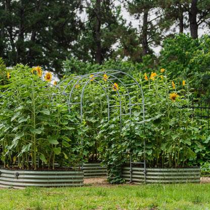 17-Inch-Tall Modular Metal Raised Bed