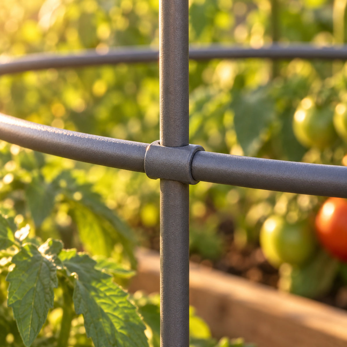 Adjustable Metal Trellis for Tomato Planter detail