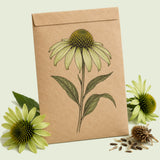 Kraft seed packet illustrated with Alan's Pride Echinacea, with fresh Alan's Pride Echinacea beside it