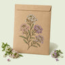Kraft seed packet illustrated with Allure Pastel Sweet Alyssum, with fresh Allure Pastel Sweet Alyssum beside it