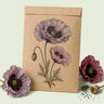 Kraft seed packet illustrated with Amazing Grey Corn Poppy, with fresh Amazing Grey Corn Poppy beside it