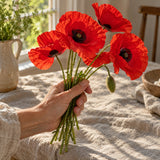 American Legion Corn Poppy Seeds harvest up close