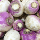Purple topped rutabaga roots