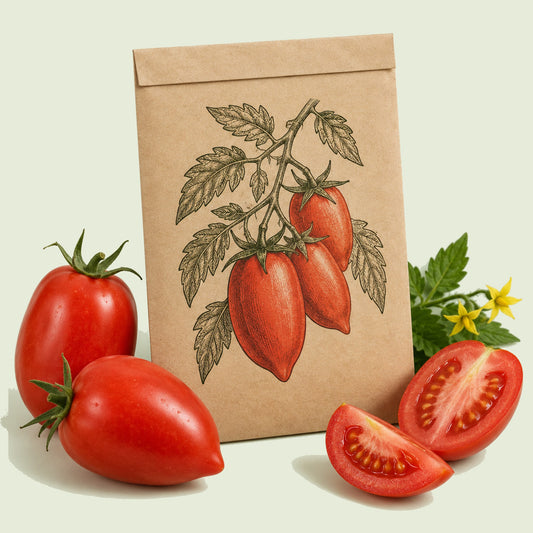 Kraft seed packet illustrated with Amish Paste Pole Tomato, with fresh Amish Paste Pole Tomato beside it