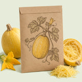 Kraft seed packet illustrated with Angel Hair Spaghetti Squash, with fresh Angel Hair Spaghetti Squash beside it