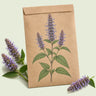 Kraft seed packet illustrated with Anise Hyssop, with fresh Anise Hyssop beside it
