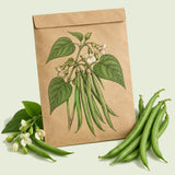 Kraft seed packet illustrated with Antigua Bush Bean, with fresh Antigua Bush Bean beside it