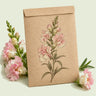 Kraft seed packet illustrated with Appleblossom Snapdragon, with fresh Appleblossom Snapdragon beside it