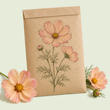 Kraft seed packet illustrated with Apricotta Cosmos, with fresh Apricotta Cosmos beside it