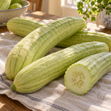 Armenian Cucumber Seeds harvest up close