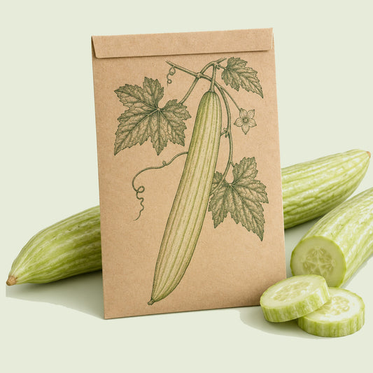 Kraft seed packet illustrated with Armenian Cucumber, with fresh Armenian Cucumber beside it