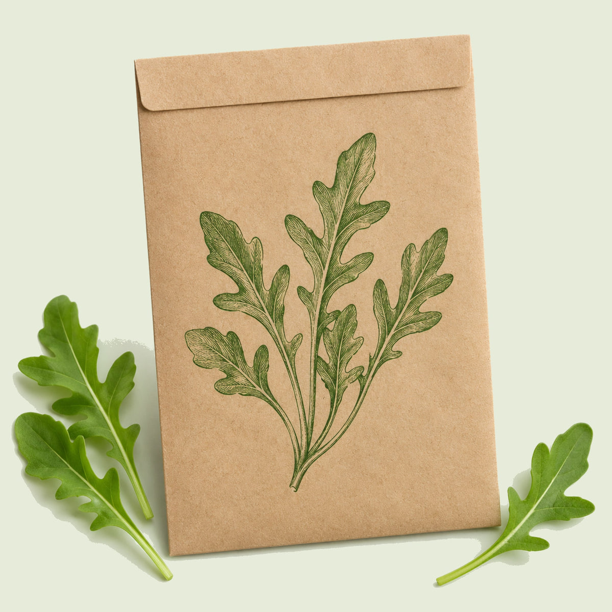 Kraft seed packet illustrated with Arugula Baby Greens, with fresh Arugula Baby Greens beside it
