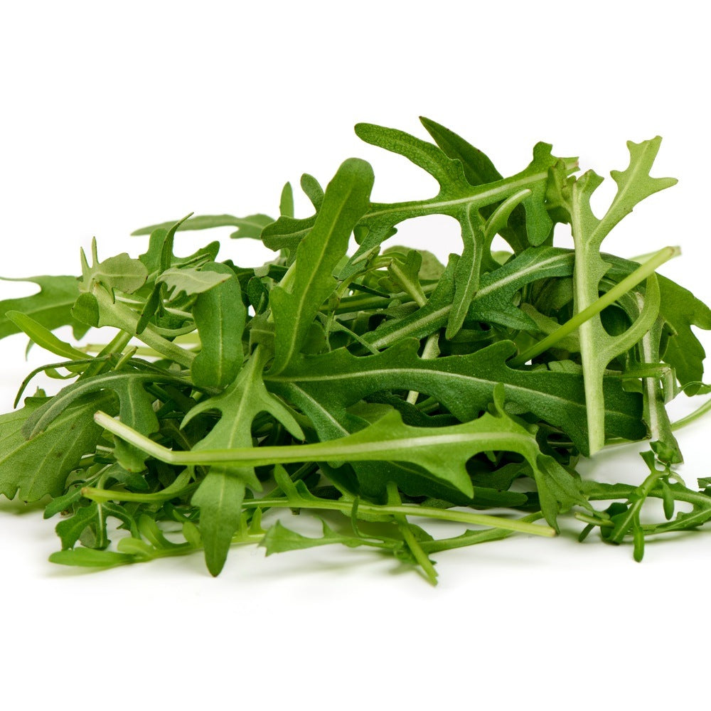 Small arugula baby green leaves