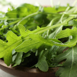 Rocket Arugula Greens plants in the garden
