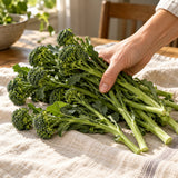 Aspabroc Sprouting Broccoli Seeds harvest up close