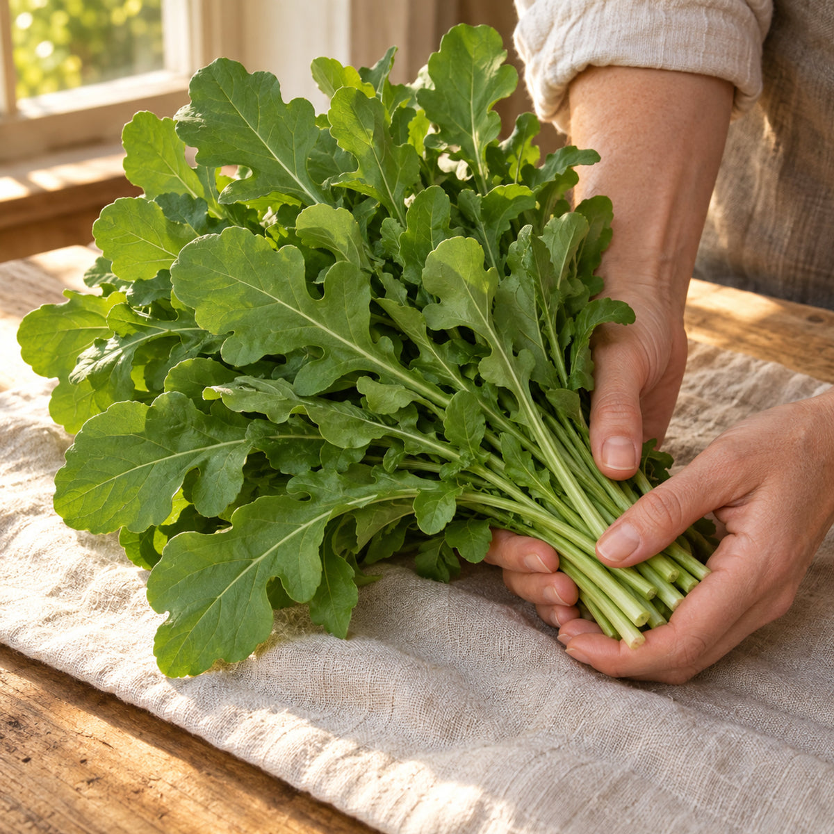 Astro Arugula Seeds harvest up close