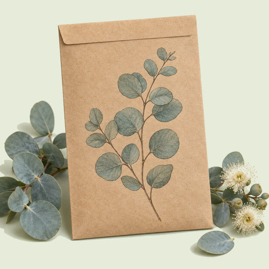 Kraft seed packet illustrated with Baby Blue Eucalyptus, with fresh Baby Blue Eucalyptus beside it