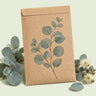 Kraft seed packet illustrated with Baby Blue Eucalyptus, with fresh Baby Blue Eucalyptus beside it