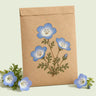Kraft seed packet illustrated with Baby Blue Eyes, with fresh Baby Blue Eyes beside it