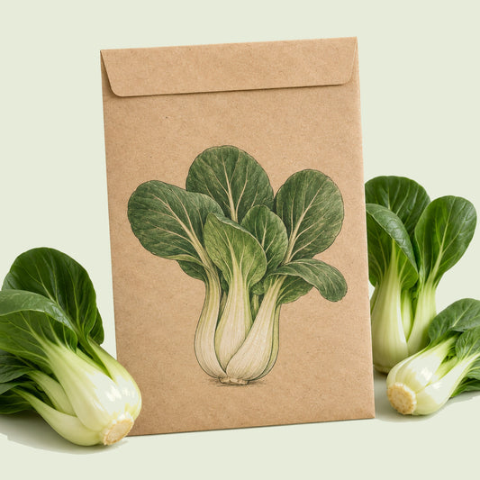 Kraft seed packet illustrated with Baby Choi Bok Choy, with fresh Baby Choi Bok Choy beside it