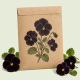 Kraft seed packet illustrated with Back To Black Viola, with fresh Back To Black Viola beside it
