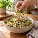 Bean Mix Sprouting Seeds harvest up close
