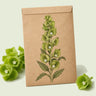Kraft seed packet illustrated with Bells of Ireland Flower, with fresh Bells of Ireland Flower beside it