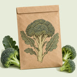 Kraft seed packet illustrated with Belstar Broccoli, with fresh Belstar Broccoli beside it