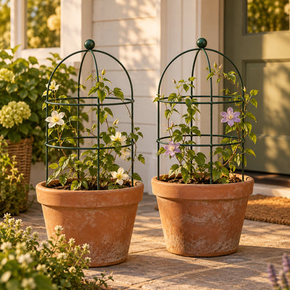 Birdcage Plant Trellis, 2 Pack in use in a home garden