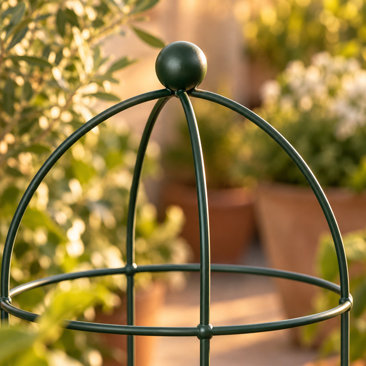 Birdcage Plant Trellis, 2 Pack detail