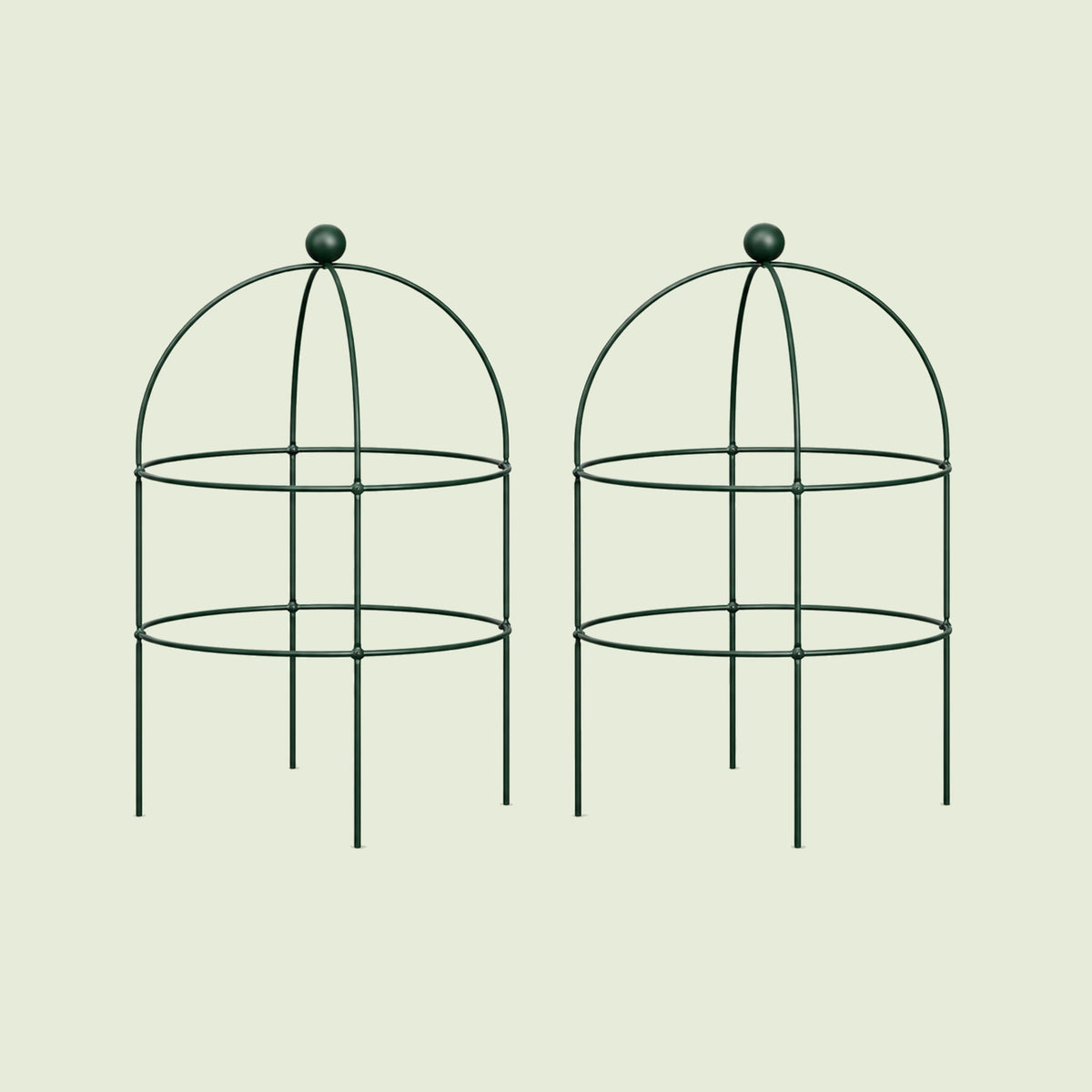 Birdcage Plant Trellis, 2 Pack on a soft green background