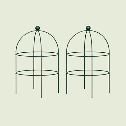 Birdcage Plant Trellis, 2 Pack on a soft green background