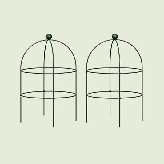 Birdcage Plant Trellis, 2 Pack on a soft green background