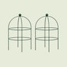 Birdcage Plant Trellis, 2 Pack on a soft green background
