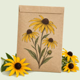 Kraft seed packet illustrated with Black-Eyed Susan, with fresh Black-Eyed Susan beside it