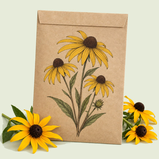 Kraft seed packet illustrated with Black-Eyed Susan, with fresh Black-Eyed Susan beside it