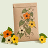 Kraft seed packet illustrated with Black-Eyed Susan Vine, with fresh Black-Eyed Susan Vine beside it