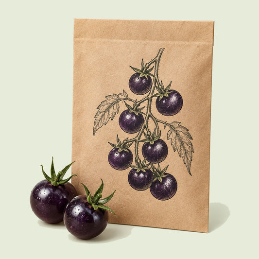 Kraft seed packet illustrated with Black Pearl Cherry Tomato, with fresh Black Pearl Cherry Tomato beside it